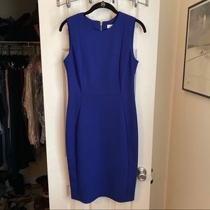 Calvin Klein Shift Dress